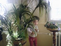 /album/fotogalerie/eaua-2v4xa-jpg/
